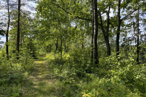 Parduodamas sklypas Subartėnų k., 33 a ploto 18