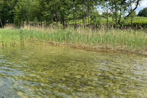 Parduodamas sklypas Subartėnų k., 33 a ploto 22