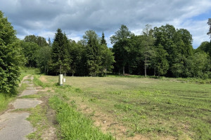 Parduodamas sklypas Subartėnų k., 33 a ploto 8