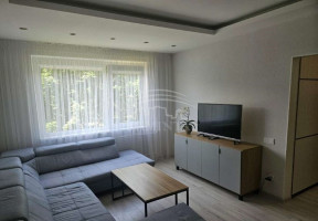 Parduodamas butas Mogiliovo g., Bandužiai, Klaipėdos m., Klaipėdos m. sav., 55 m2 ploto, 2 kambariai 2