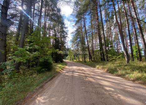 Parduodamas namų valdos paskirties sklypas Svilės k., Kelmės r. sav., 51.34 a ploto