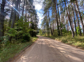 Parduodamas namų valdos paskirties sklypas Svilės k., Kelmės r. sav., 51.34 a ploto 1