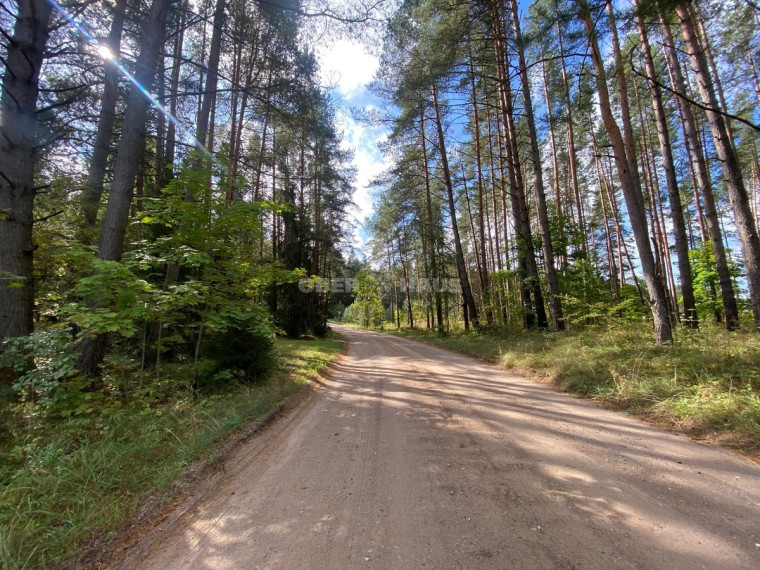 Parduodamas namų valdos paskirties sklypas Svilės k., Kelmės r. sav., 51.34 a ploto 1