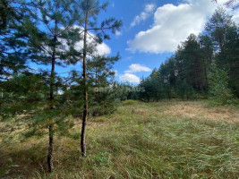 Parduodamas namų valdos paskirties sklypas Svilės k., Kelmės r. sav., 51.34 a ploto 8