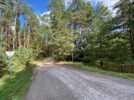 Parduodamas namų valdos paskirties sklypas Svilės k., Kelmės r. sav., 51.34 a ploto 9