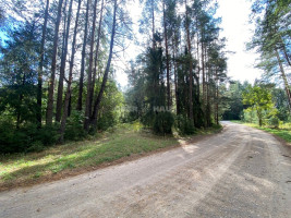 Parduodamas namų valdos paskirties sklypas Svilės k., Kelmės r. sav., 51.34 a ploto 10