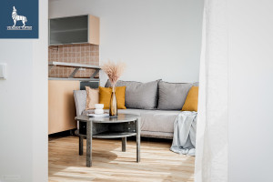 Parduodamas butas Ukmergės g., Pašilaičiai, Vilniaus m., Vilniaus m. sav., 47 m2 ploto, 2 kambariai 15