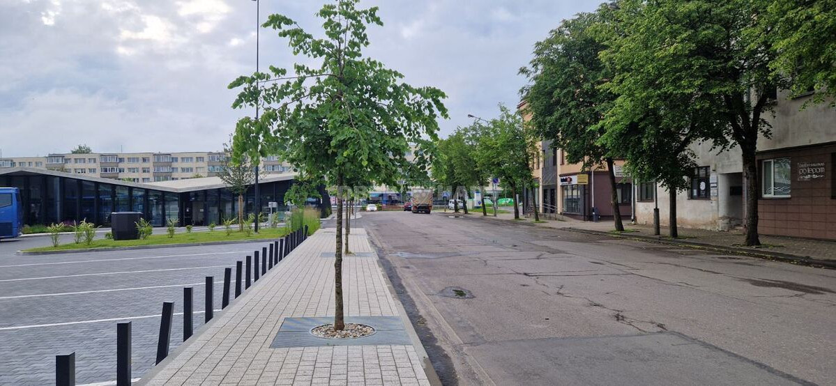 Nuomojamos administracinės, kitos paskirties patalpos Savanorių g., Centras, Panevėžio m., Panevėžio m. sav., 12.06 m2 ploto 5