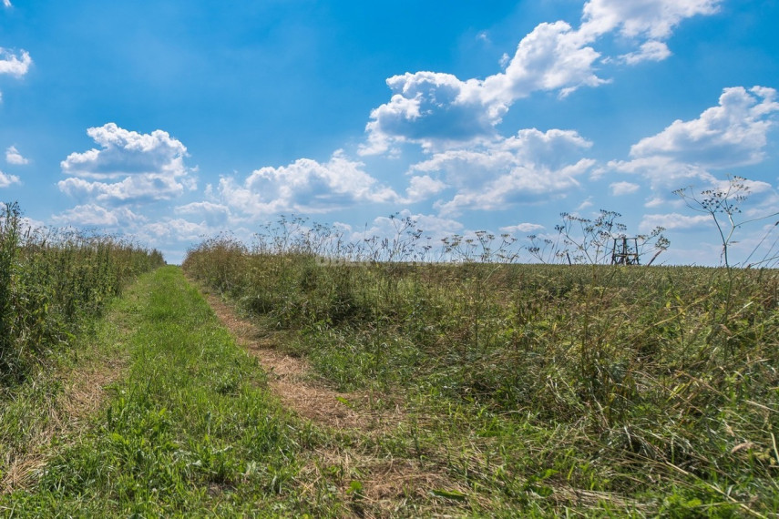 Parduodamas namų valdos paskirties sklypas Lapaikos k., Elektrėnų sav., 680 a ploto 25