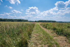 Parduodamas namų valdos paskirties sklypas Lapaikos k., Elektrėnų sav., 680 a ploto 26