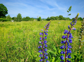 Parduodamas komercinės paskirties sklypas Kalvių k., Kaišiadorių r. sav., 254 a ploto 16