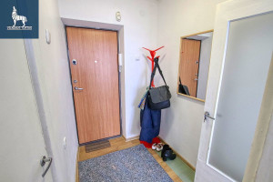 Nuomojamas butas Dariaus ir Girėno g., Naujininkai, Vilniaus m., Vilniaus m. sav., 21 m2 ploto, 1 kambariai 9