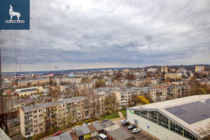 Nuomojamas butas Dariaus ir Girėno g., Naujininkai, Vilniaus m., Vilniaus m. sav., 21 m2 ploto, 1 kambariai 11