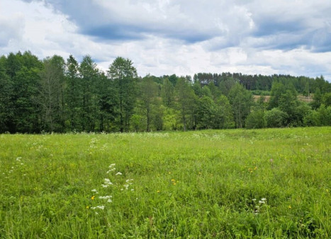 Parduodamas žemės ūkio paskirties sklypas Dundulių k., Molėtų r. sav., 653.34 a ploto