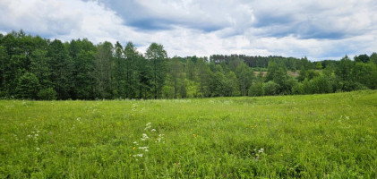 Parduodamas žemės ūkio paskirties sklypas Dundulių k., Molėtų r. sav., 653.34 a ploto 1