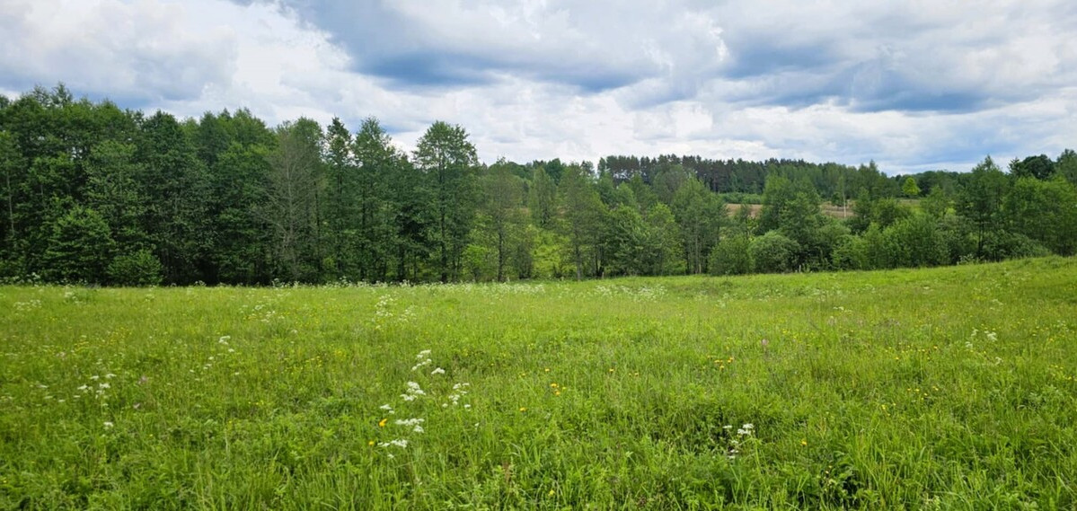 Parduodamas žemės ūkio paskirties sklypas Dundulių k., Molėtų r. sav., 653.34 a ploto 1