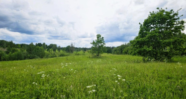 Parduodamas žemės ūkio paskirties sklypas Dundulių k., Molėtų r. sav., 653.34 a ploto 2