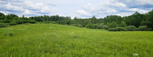 Parduodamas žemės ūkio paskirties sklypas Dundulių k., Molėtų r. sav., 653.34 a ploto 3