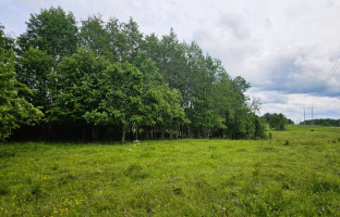 Parduodamas žemės ūkio paskirties sklypas Dundulių k., Molėtų r. sav., 653.34 a ploto 4