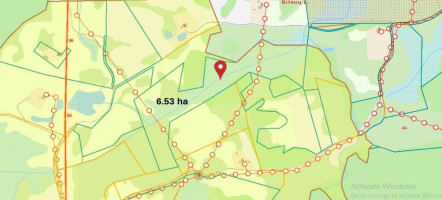 Parduodamas žemės ūkio paskirties sklypas Dundulių k., Molėtų r. sav., 653.34 a ploto 6