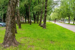 Parduodamas butas Minties g., Žirmūnai, Vilniaus m., Vilniaus m. sav., 60.09 m2 ploto, 3 kambariai 30
