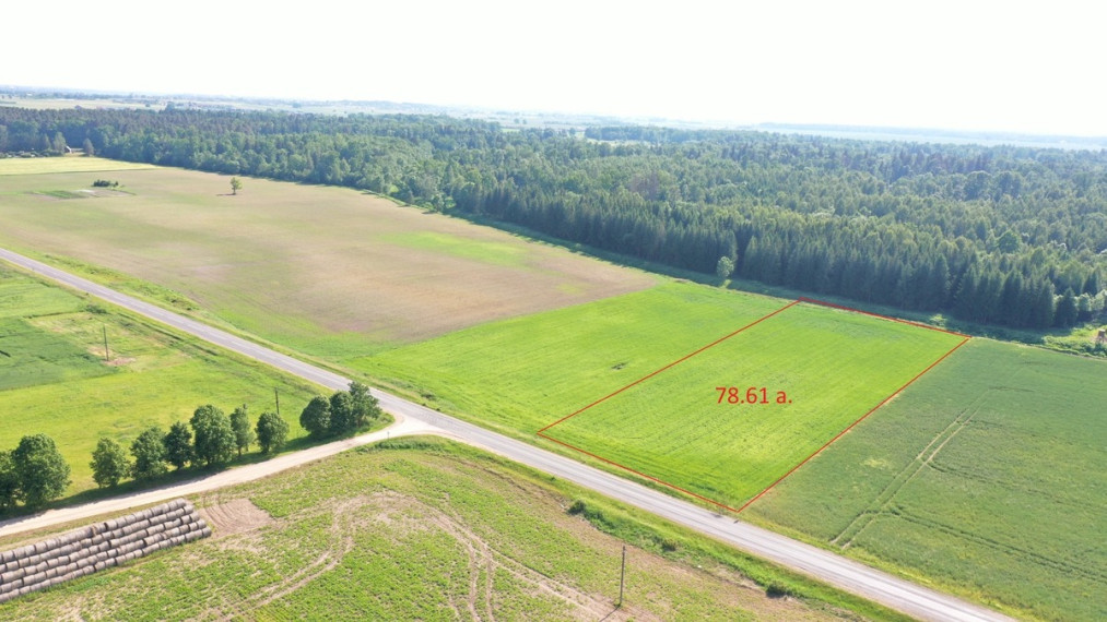 Parduodamas  sklypas Kauno r. sav., Eigirgalos k., Vandžiogalos pl , 78.61 a ploto 1