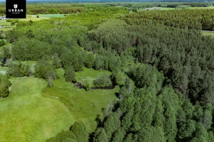Parduodamas sklypas Kaniūkų k., 125.48 a ploto 3