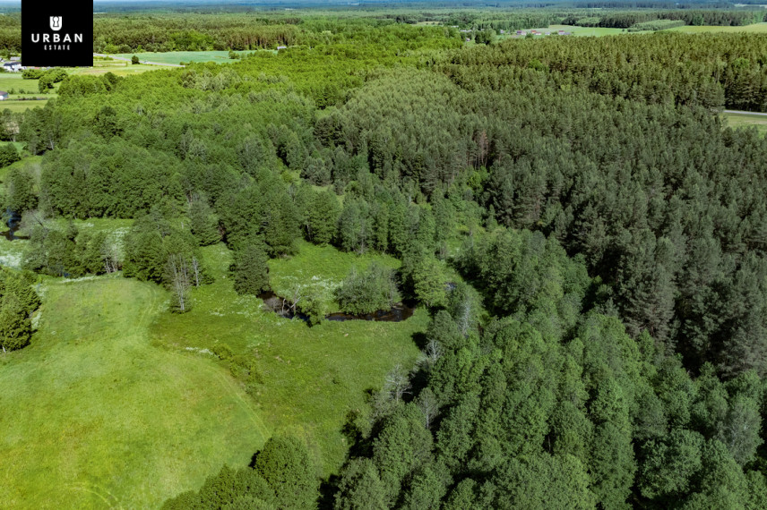 Parduodamas sklypas Kaniūkų k., 125.48 a ploto 3