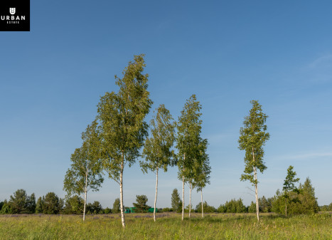 Parduodamas sklypas Aguonų g., Skaidiškių k., 16.8 a ploto