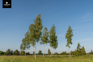 Parduodamas sklypas Aguonų g., Skaidiškių k., 16.8 a ploto 1