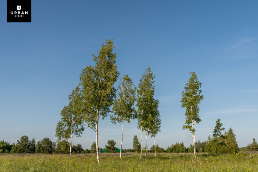 Parduodamas sklypas Aguonų g., Skaidiškių k., 16.8 a ploto 1