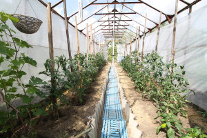 Parduodamas namas Gubernijos sodų 9-oji, Gubernija, Šiaulių m., Šiaulių m. sav., 104 m2 ploto, 3 aukštai 22