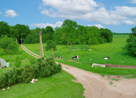 Parduodamas namas Skuodo r. sav., Žebrokų k., Ąžuolo, 119.41 m2 ploto, 1 aukštai