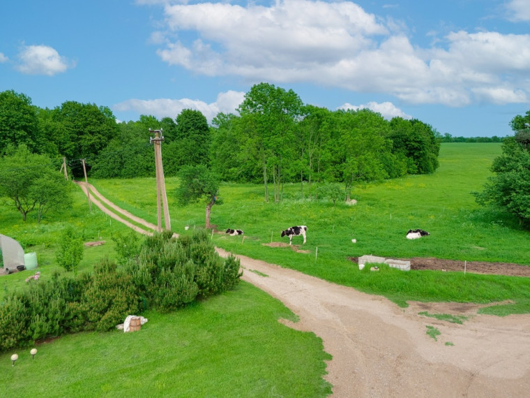 Parduodamas namas Skuodo r. sav., Žebrokų k., Ąžuolo, 119.41 m2 ploto, 1 aukštai 1
