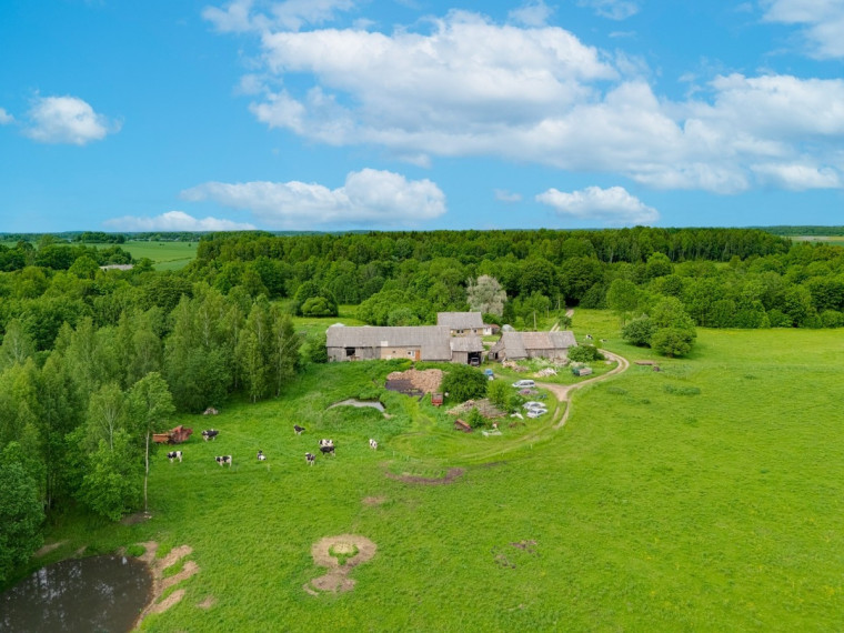 Parduodamas namas Skuodo r. sav., Žebrokų k., Ąžuolo, 119.41 m2 ploto, 1 aukštai 2