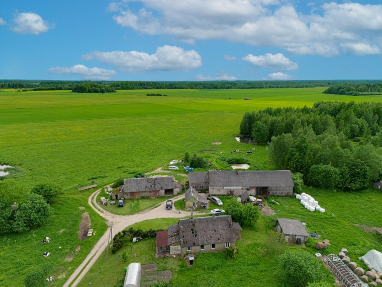 Parduodamas namas Skuodo r. sav., Žebrokų k., Ąžuolo, 119.41 m2 ploto, 1 aukštai 5