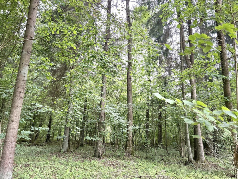 Parduodamas sklypas Gaižuvėlės k., Kauno r. sav., 166 a ploto 5