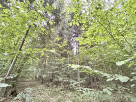 Parduodamas  sklypas Gaižuvėlės k., Kauno r. sav., 166 a ploto 7