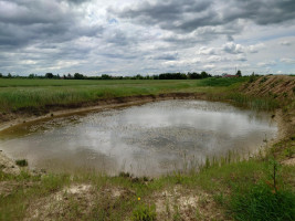 Parduodamas sklypas Kadugių k., Šiaulių r. sav., 167 a ploto 11