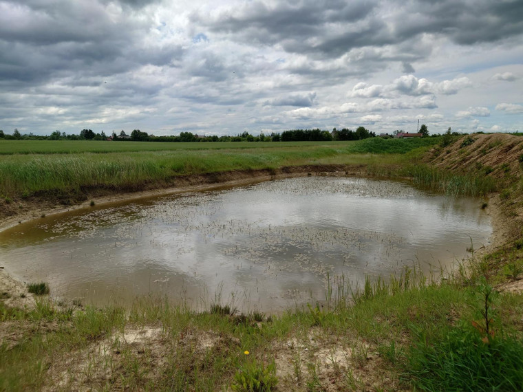 Parduodamas sklypas Kadugių k., Šiaulių r. sav., 167.00 a ploto 11