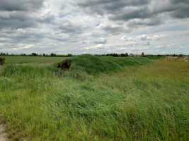Parduodamas sklypas Kadugių k., Šiaulių r. sav., 167 a ploto 9