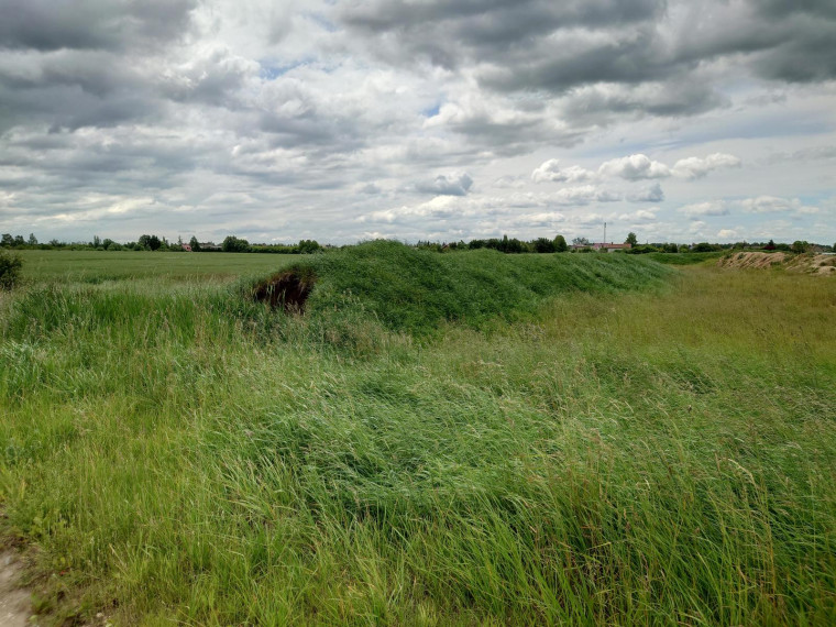 Parduodamas sklypas Kadugių k., Šiaulių r. sav., 167.00 a ploto 9