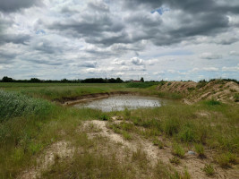 Parduodamas sklypas Kadugių k., Šiaulių r. sav., 167 a ploto 10