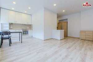 Nuomojamas butas Lvivo g., Šnipiškės, Vilniaus m., Vilniaus m. sav., 52 m2 ploto, 3 kambariai 19