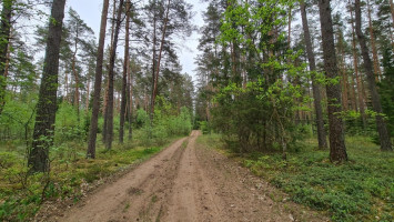 Parduodamas  sklypas Liepiškių k., Vilniaus r. sav., 1335 a ploto 7
