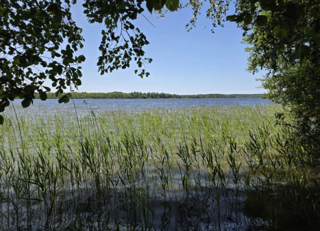Parduodamas sklypas Ažvinčių k., Ignalinos r. sav., 184 a ploto