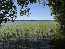 Parduodamas sklypas Ažvinčių k., Ignalinos r. sav., 184 a ploto 1