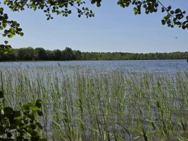 Parduodamas sklypas Ažvinčių k., Ignalinos r. sav., 184 a ploto 2