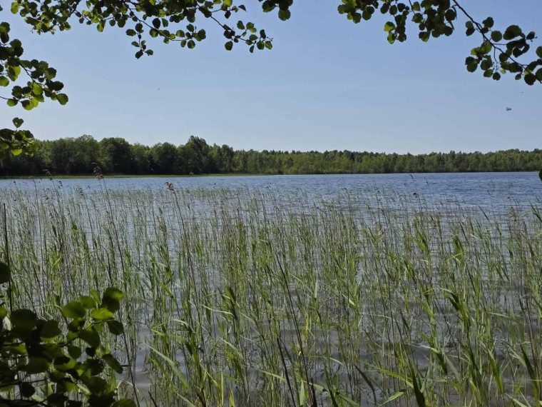 Parduodamas sklypas Ažvinčių k., Ignalinos r. sav., 184 a ploto 2