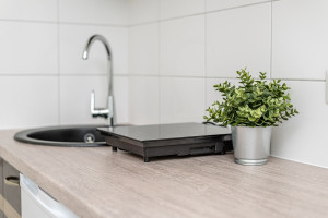 Nuomojamas butas Fabijoniškių g., Fabijoniškės, Vilniaus m., Vilniaus m. sav., 18 m2 ploto, 1 kambariai 5